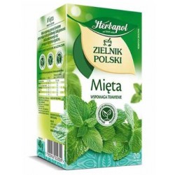 Herbata Herbapol/20t Mięta Zielnik Polski