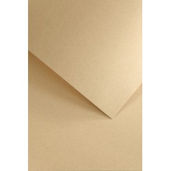 Karton ozdobny Galeria Papieru ciemnobeżowy - Nature A4/50 120g