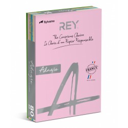 Papier ksero A4 Mix/500 80g Rey Adagio pastelowy 5x100ark.